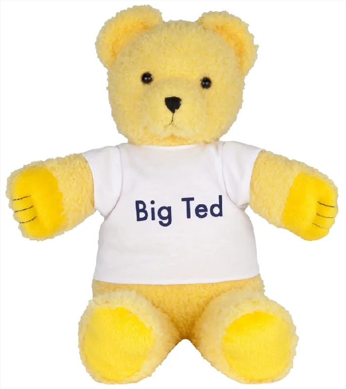 Play School - Big Ted Plush