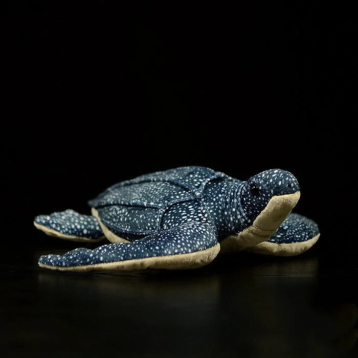 Simulation tortoise plush toy